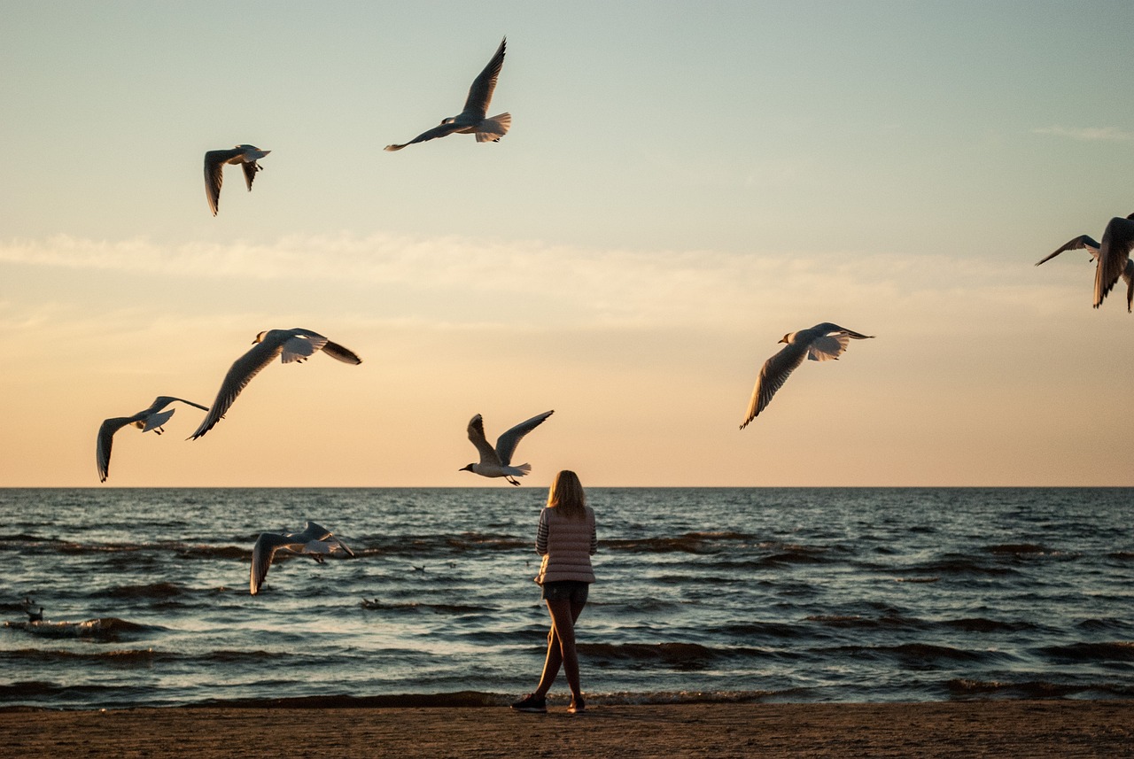 Have Introverts Benefited from the Quiet Revolution ?